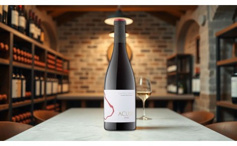 Vino Acusp 2021 – Elegancia y complejidad en cada copa