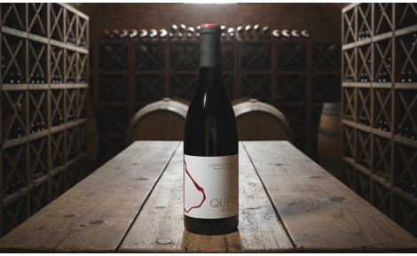 Vino Quest 2018 | Características y compra