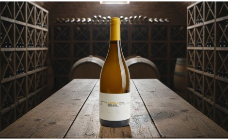 Vino Lapola 2021 | Un tesoro de Ribeira Sacra