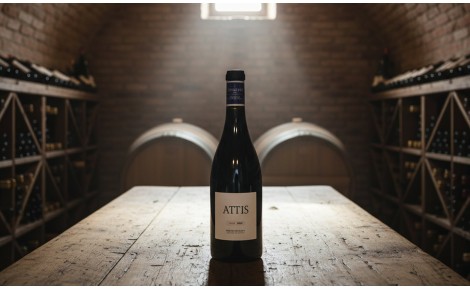 Vino Attis Espadeiro 2013 | Características y compra