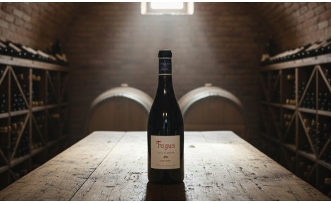 Vino Fagus 2018 | Un deleite para el paladar