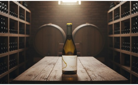 Vino Taleia 2021 | Una obsesión para los paladares más exquisitos