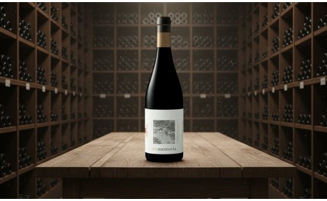 Vino Ars Memoria 2014 | Elegancia y carácter de la D.O. Navarra